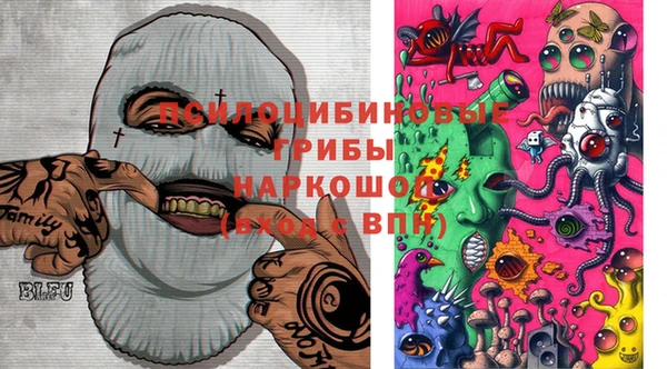 не бодяженный Осташков