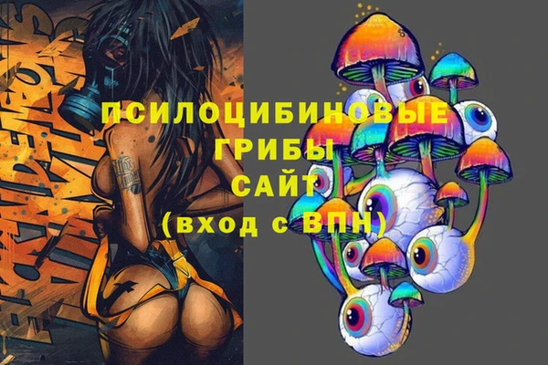 не бодяженный Осташков