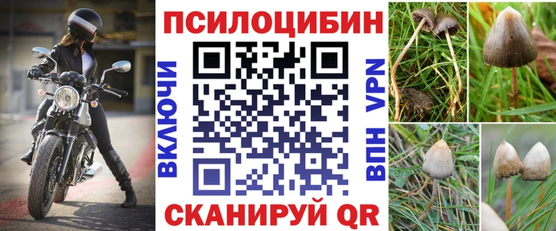 Галлюциногенные грибы Psilocybine cubensis  Аша 