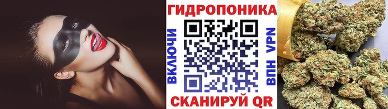 Канабис индика  Аша 